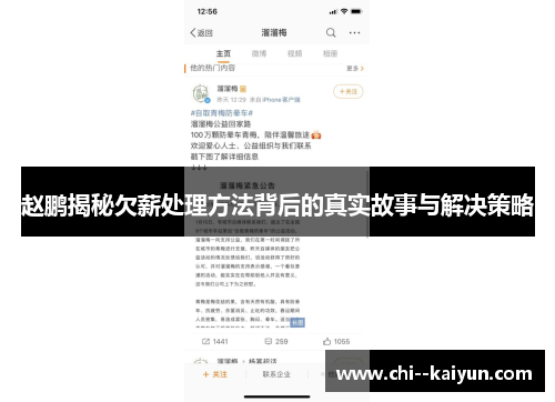 赵鹏揭秘欠薪处理方法背后的真实故事与解决策略