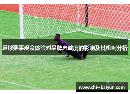 足球赛事观众体验对品牌忠诚度的影响及其机制分析 足球赛事观众体验对品牌忠诚度的影响及其机制分析