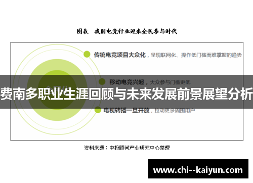 费南多职业生涯回顾与未来发展前景展望分析