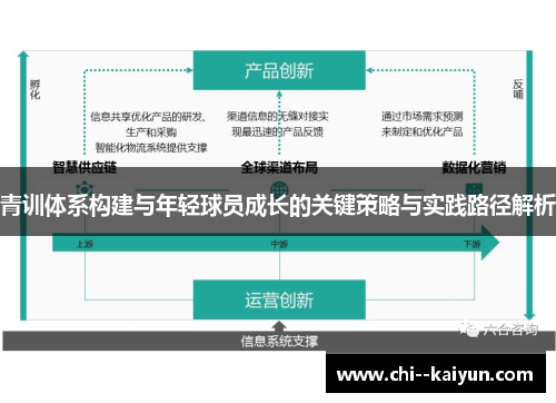 青训体系构建与年轻球员成长的关键策略与实践路径解析