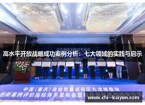 高水平开放战略成功案例分析：七大领域的实践与启示