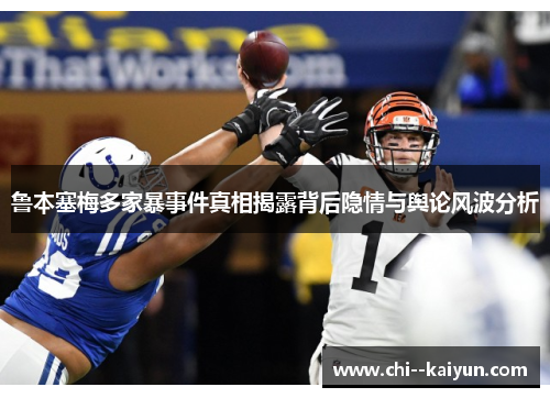 鲁本塞梅多家暴事件真相揭露背后隐情与舆论风波分析