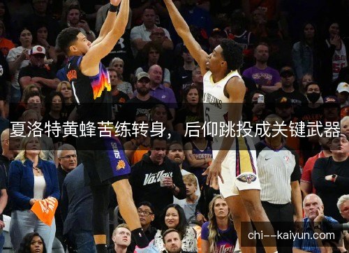夏洛特黄蜂苦练转身，后仰跳投成关键武器