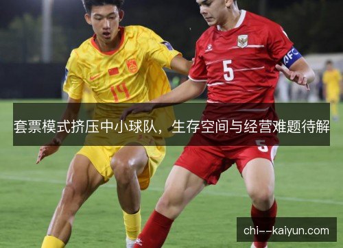 套票模式挤压中小球队，生存空间与经营难题待解